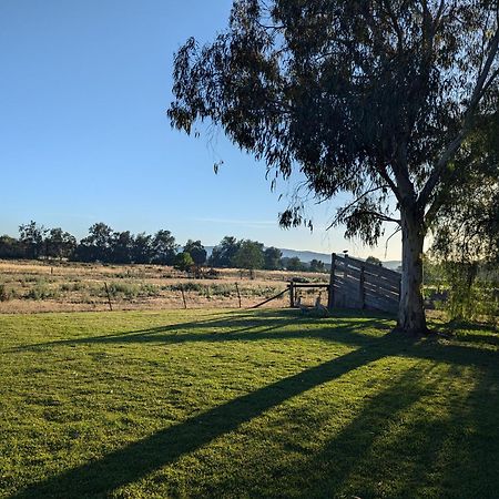 Cudgegong Valley Motel Mudgee Exteriér fotografie