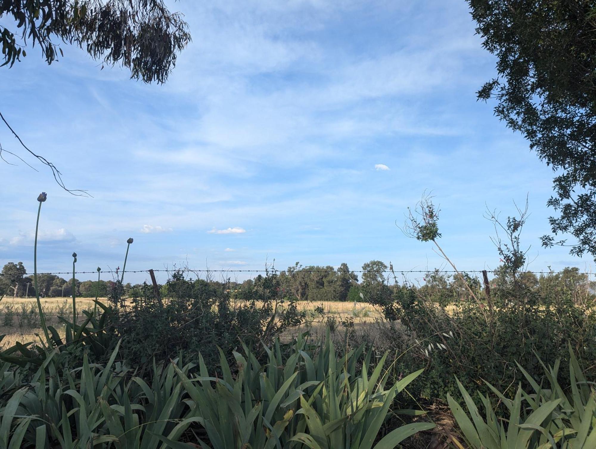 Cudgegong Valley Motel Mudgee Exteriér fotografie